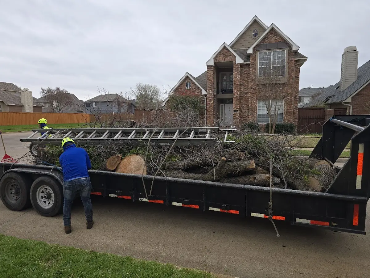 Expert Tree Pest Control with proper safety equipment in Elberon